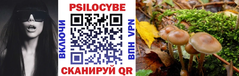 Галлюциногенные грибы MAGIC MUSHROOMS  магазин    Коркино 
